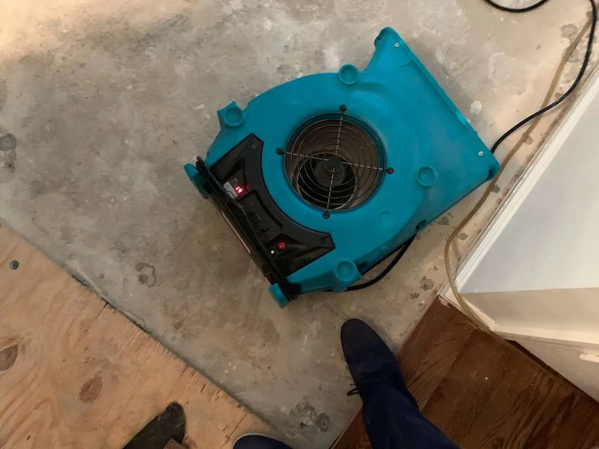 Air mover drying subfloor during Leak Detection & Repair in Salisbury